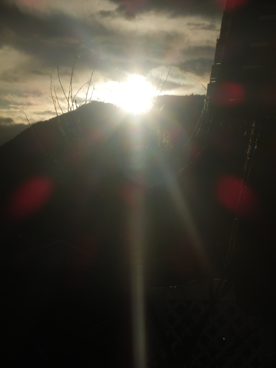 f:id:fwss:20210822072316j:plain