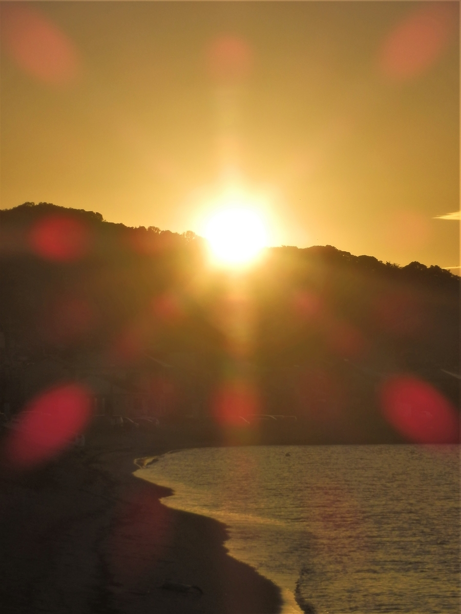 f:id:fwss:20210909201501j:plain