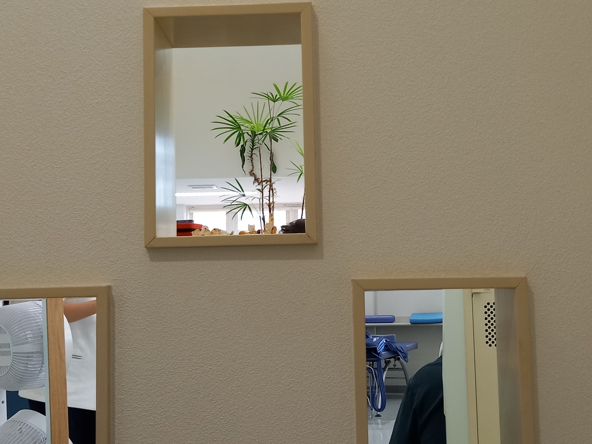 f:id:fwss:20210921144444j:plain