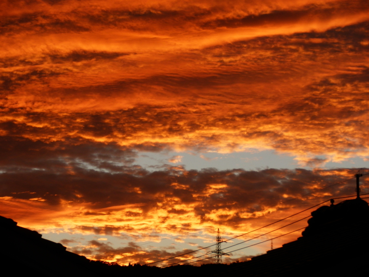 f:id:fwss:20211016073135j:plain