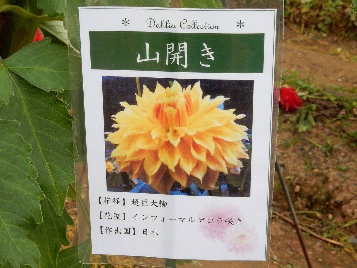 f:id:fwss:20211020064456j:plain