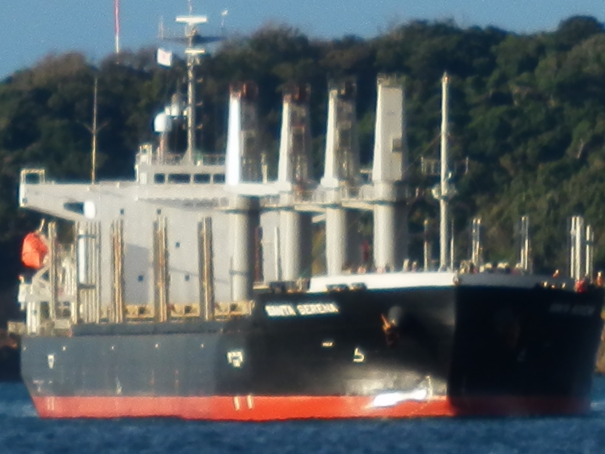 f:id:fwss:20211022175431j:plain