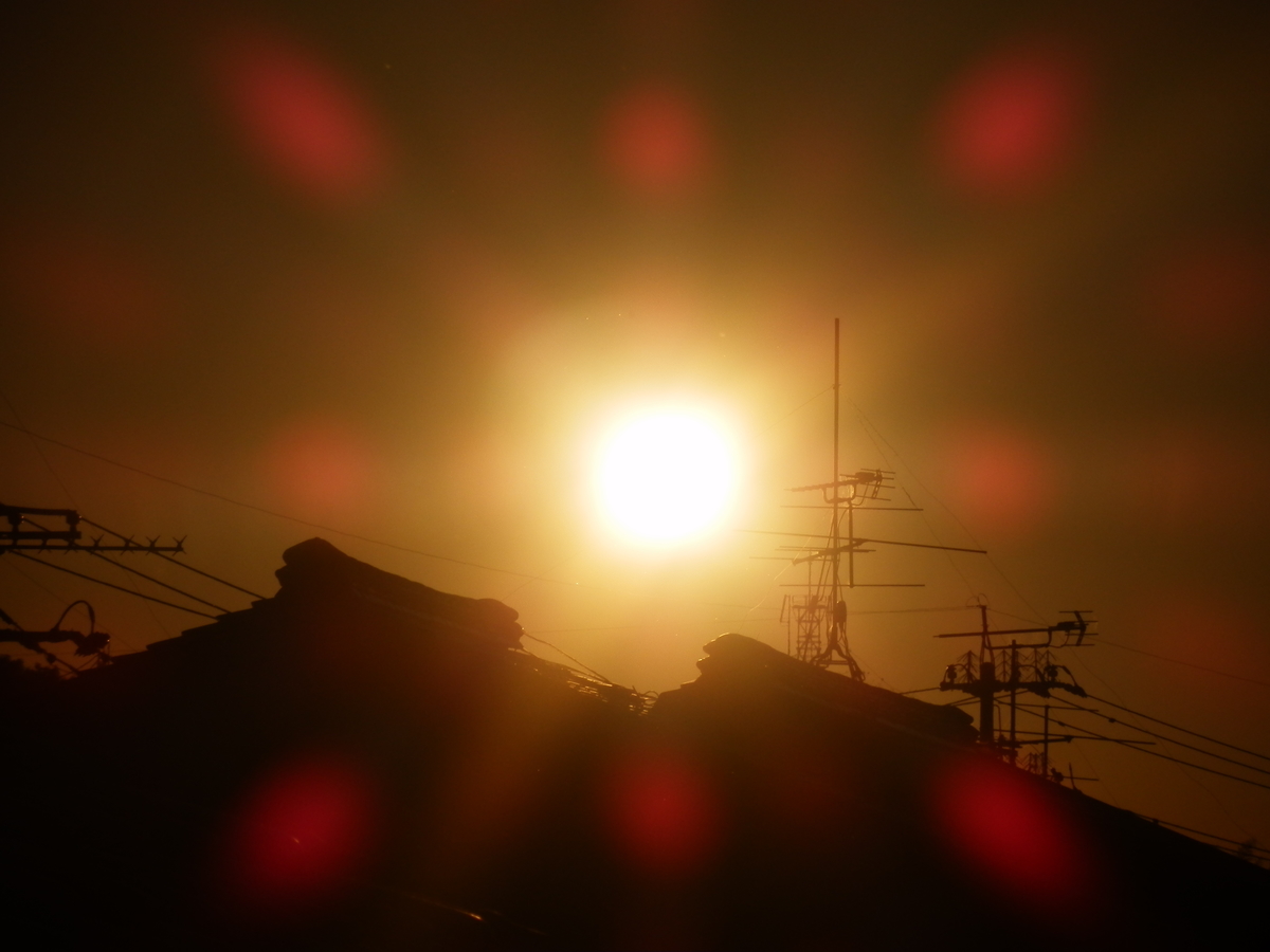 f:id:fwss:20211025193639j:plain