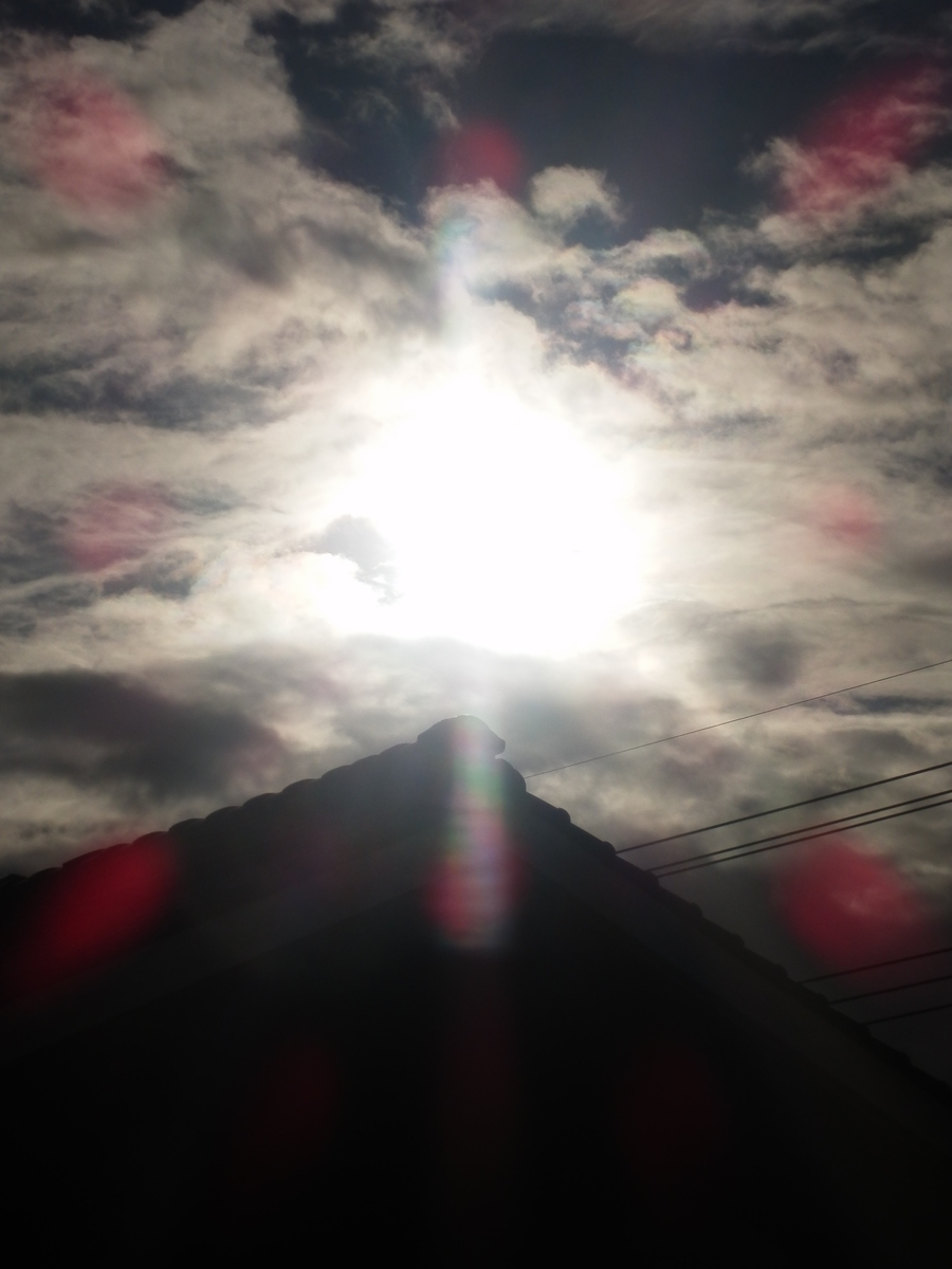 f:id:fwss:20211103104506j:plain