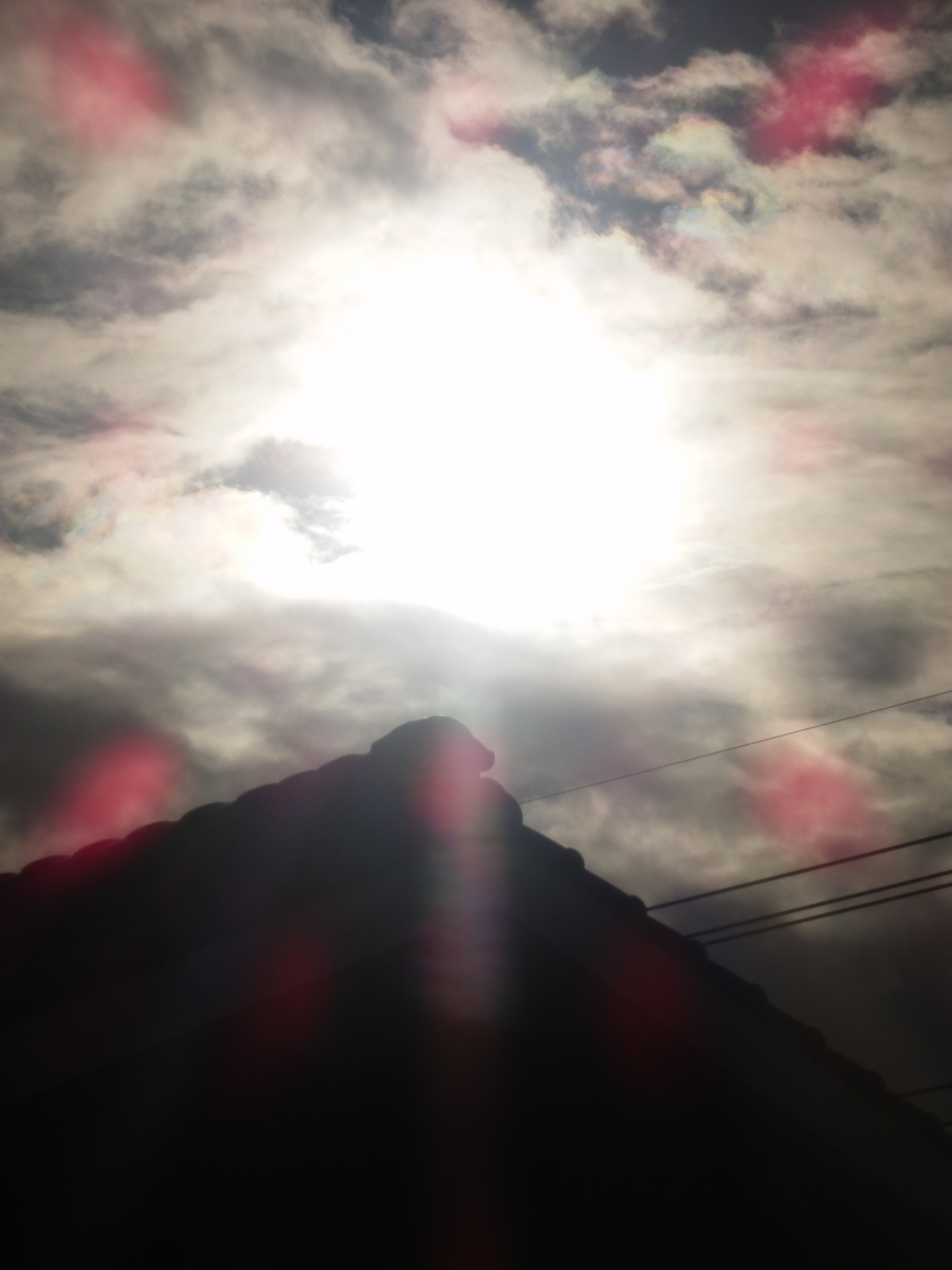 f:id:fwss:20211103104600j:plain