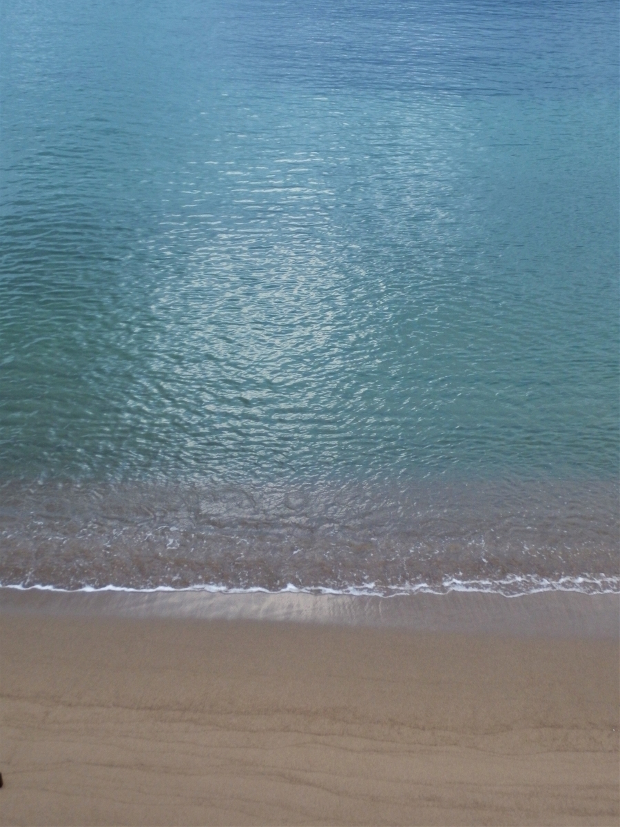 f:id:fwss:20211104071905j:plain