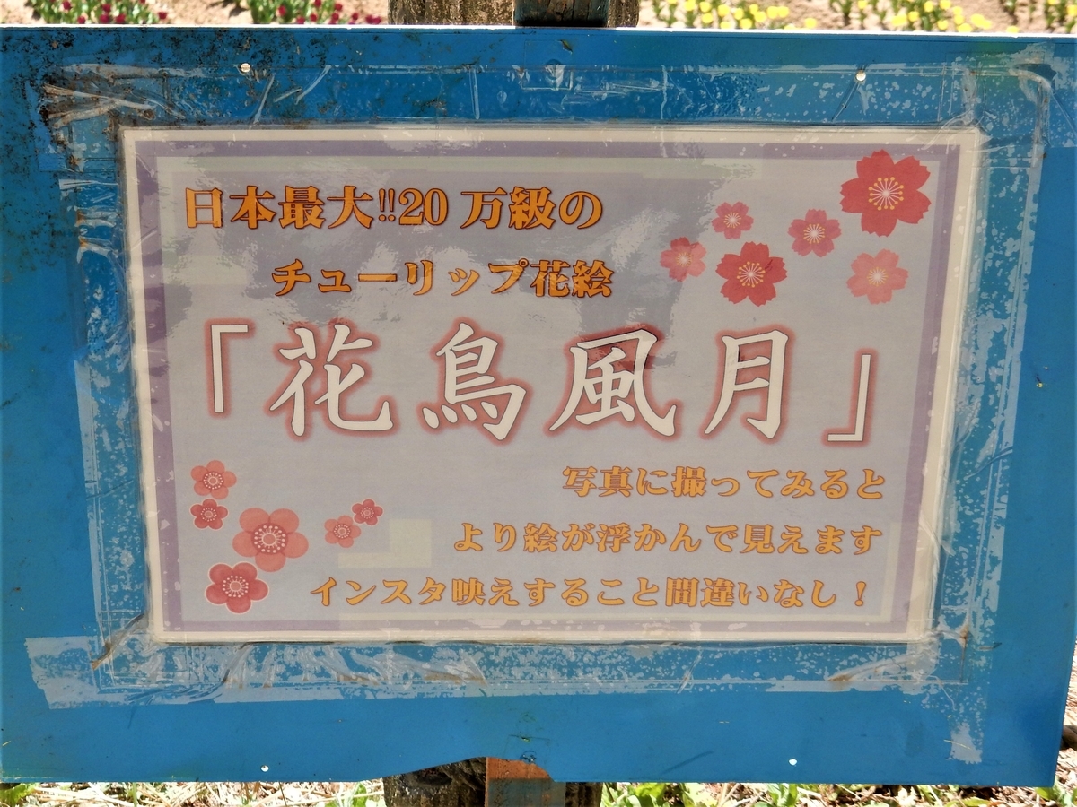 f:id:fwss:20211122091146j:plain