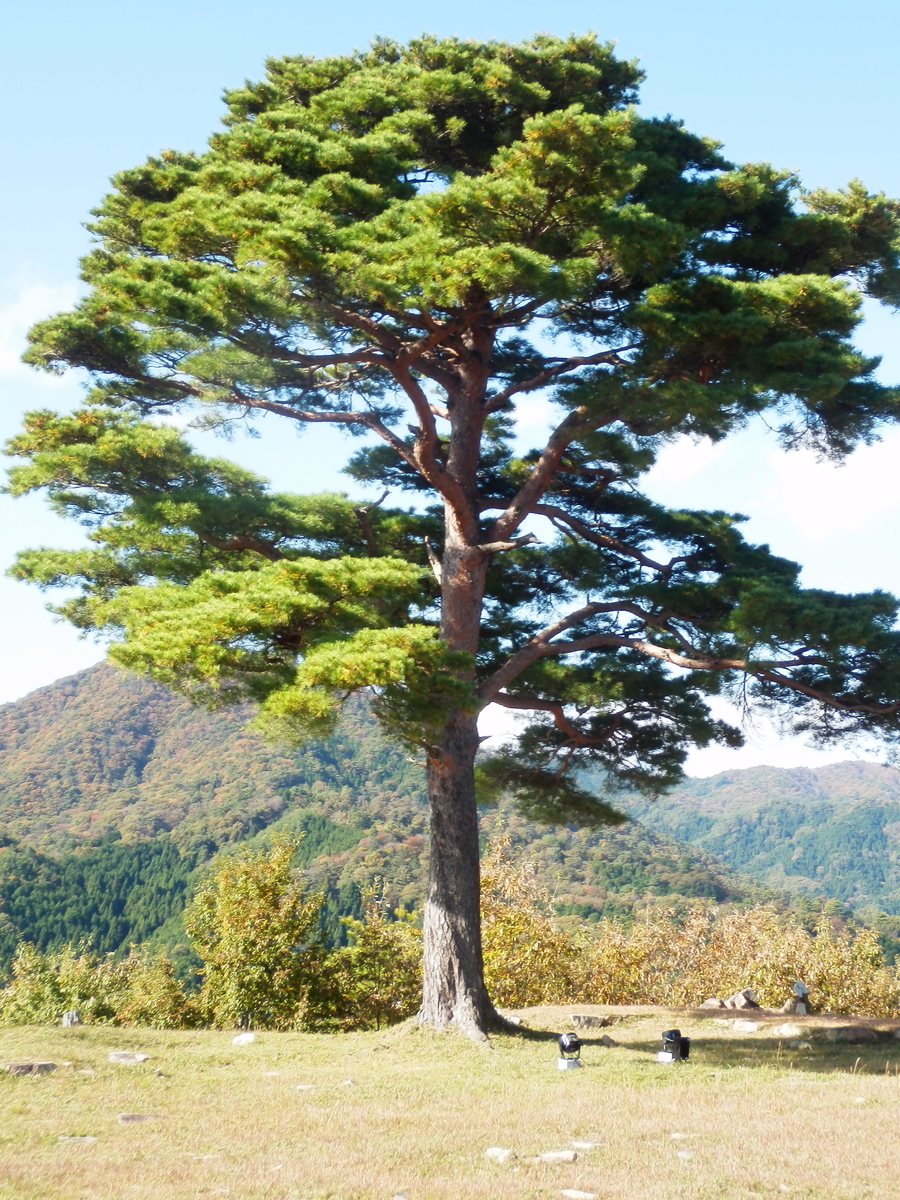 f:id:fwss:20211217133020j:plain