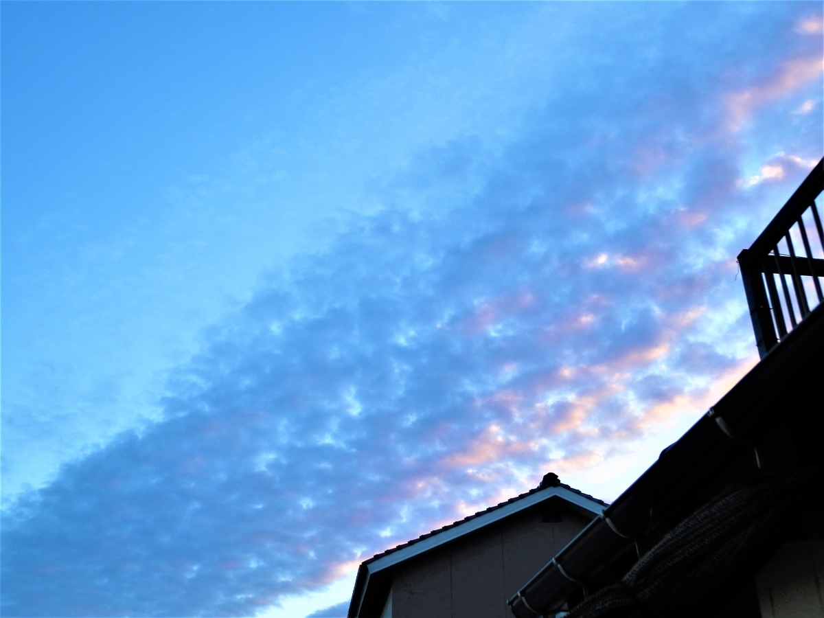 f:id:fwss:20220106103447j:plain