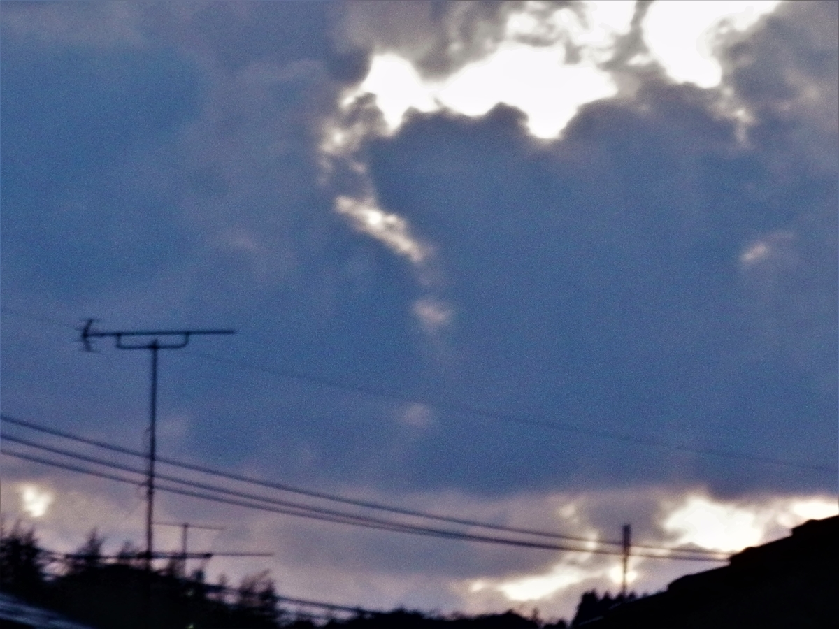 f:id:fwss:20220106181923j:plain