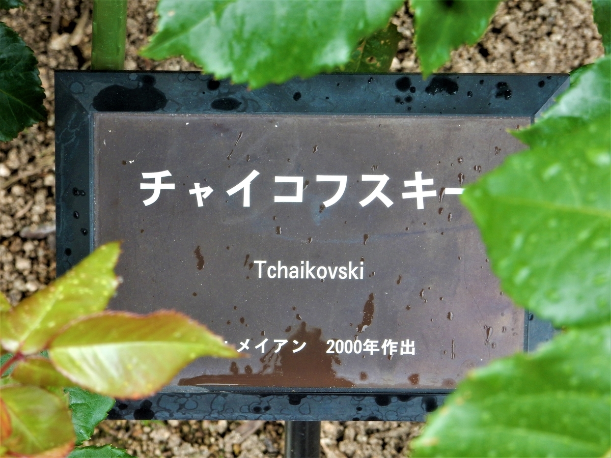 f:id:fwss:20220123082224j:plain