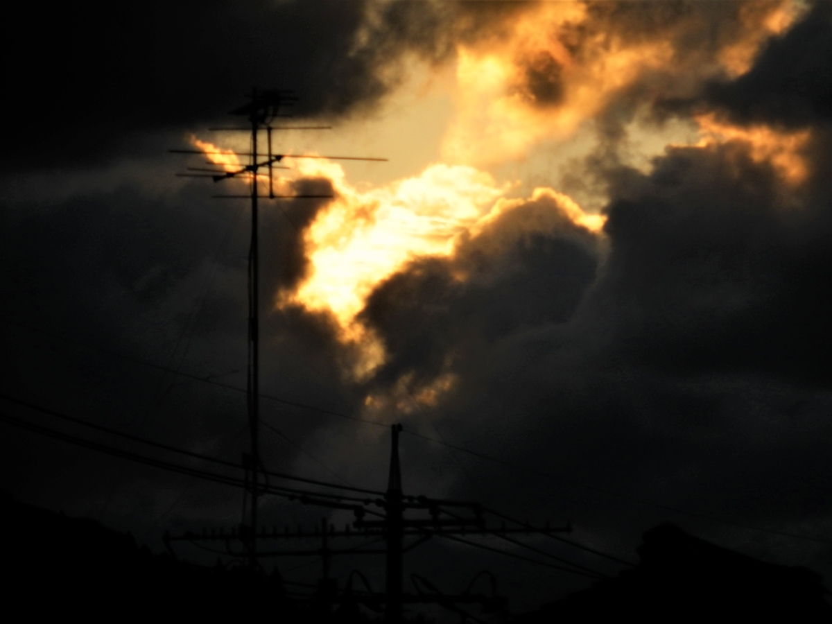 f:id:fwss:20220130183030j:plain