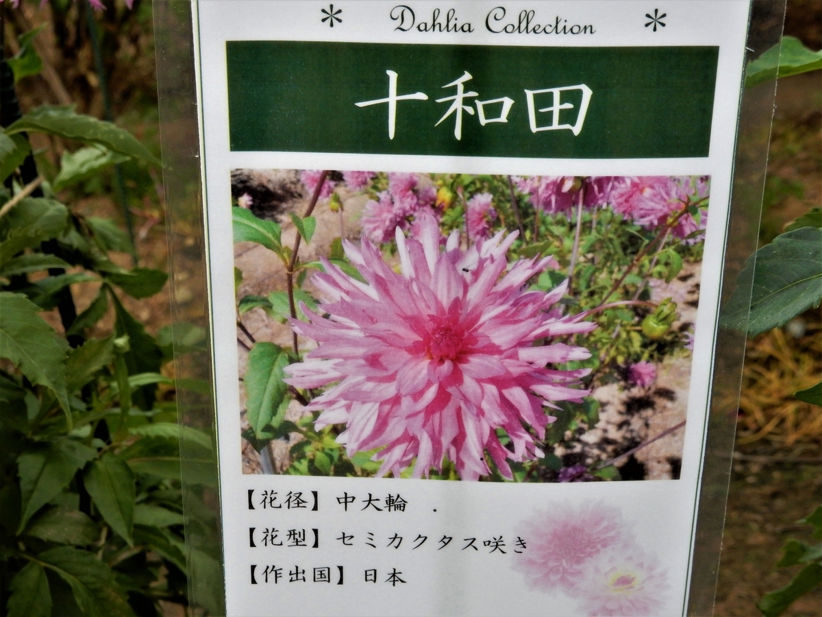 f:id:fwss:20220201140908j:plain