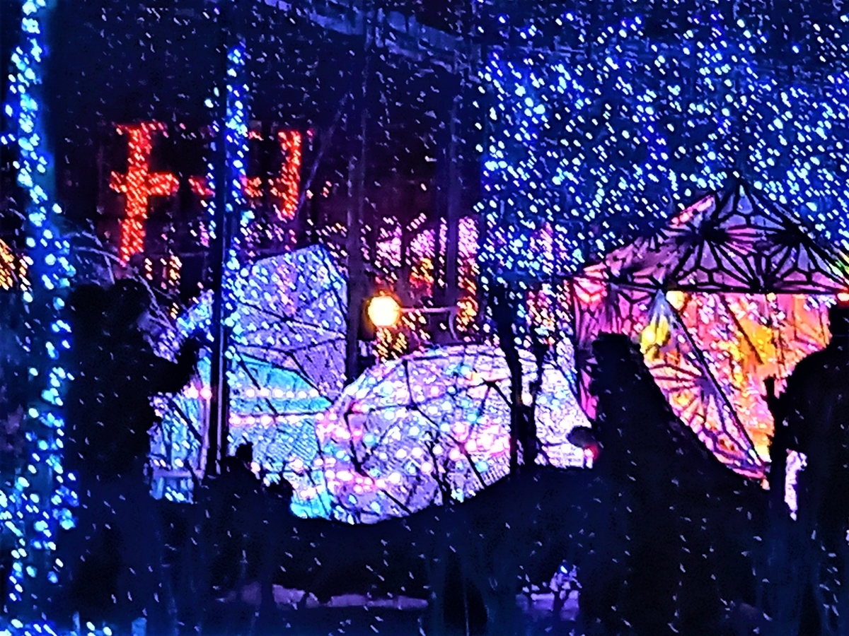 由志園のライトアップイルミネーション 19 島根県松江市 Fwssのえっさんブログ