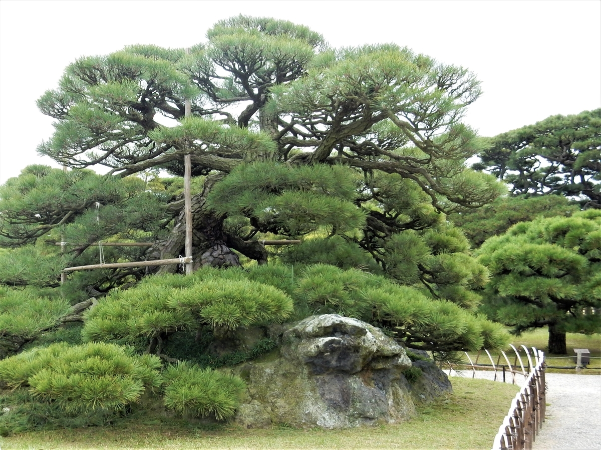 f:id:fwss:20220204083806j:plain