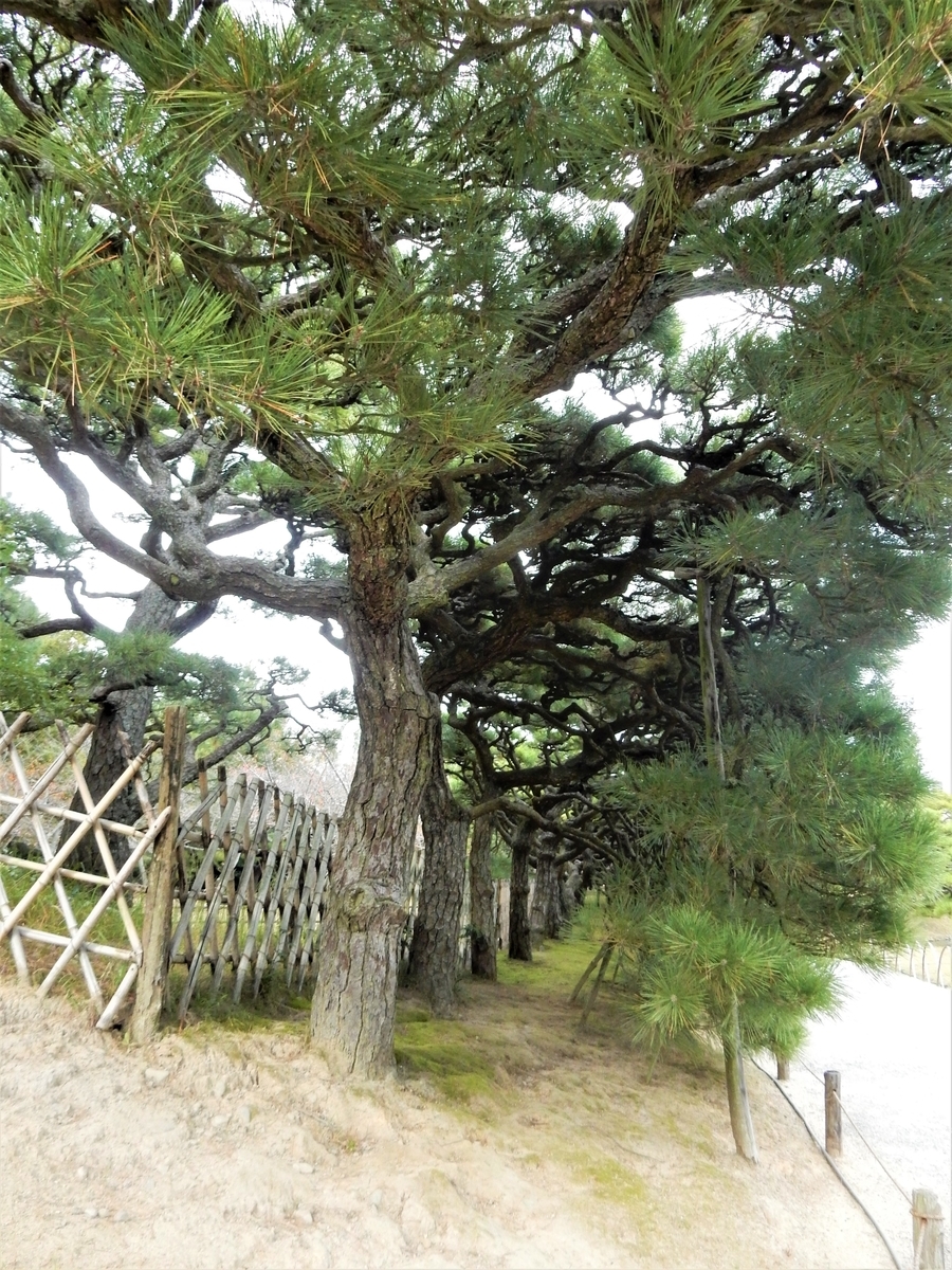 f:id:fwss:20220204084302j:plain