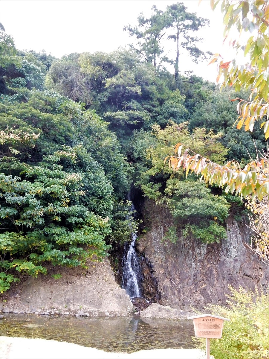 f:id:fwss:20220204084529j:plain