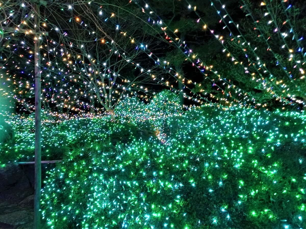 由志園のライトアップイルミネーション 22 島根県松江市 Fwssのえっさんブログ