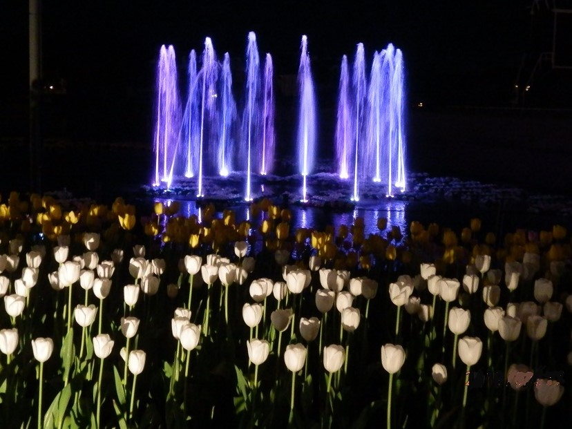 f:id:fwss:20220209093407j:plain