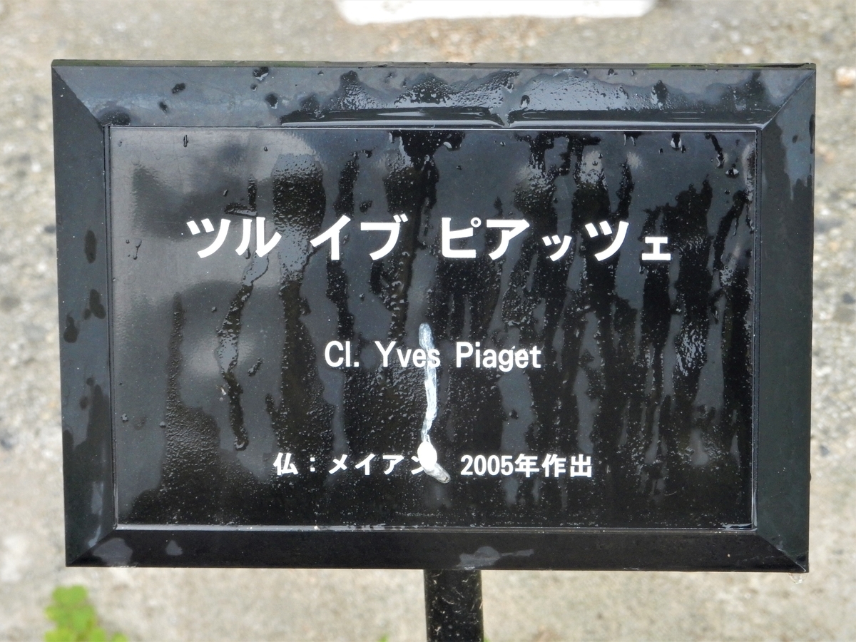 f:id:fwss:20220211081315j:plain