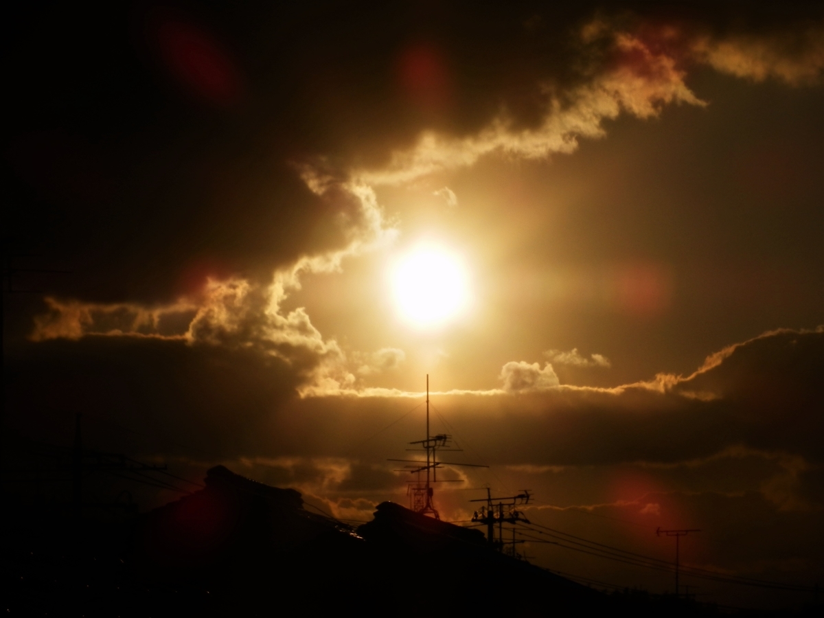 f:id:fwss:20220223073916j:plain