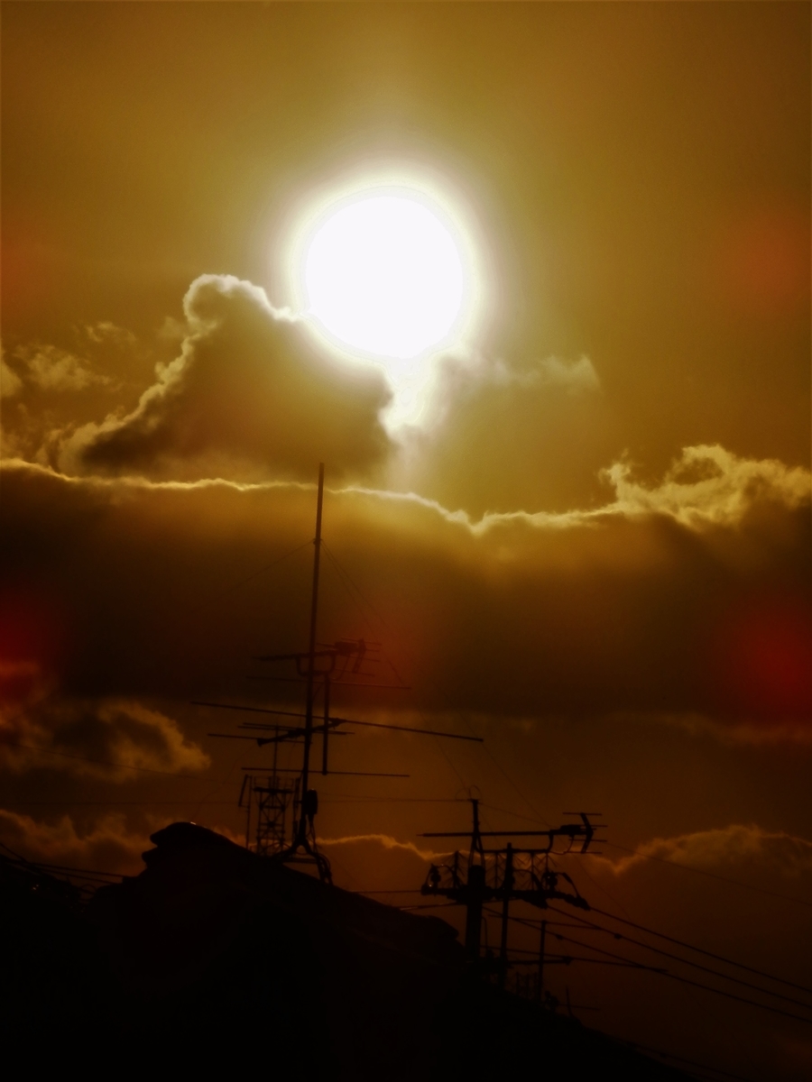 f:id:fwss:20220223074259j:plain