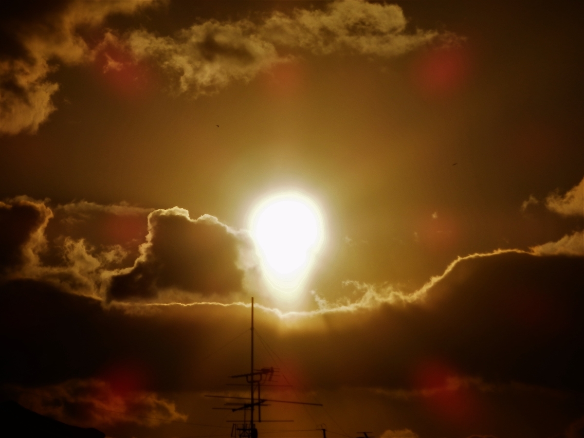 f:id:fwss:20220223074451j:plain