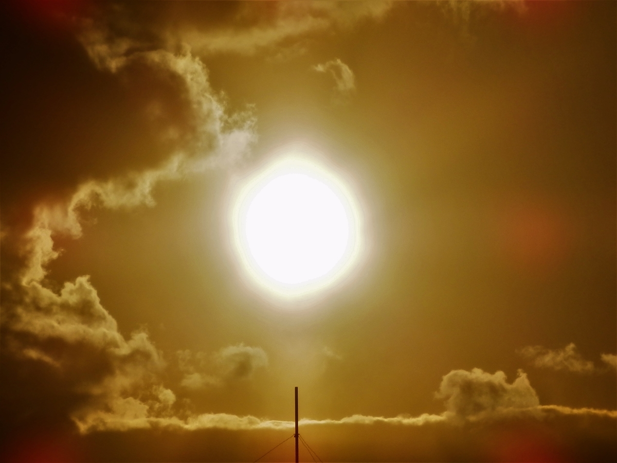 f:id:fwss:20220223074720j:plain