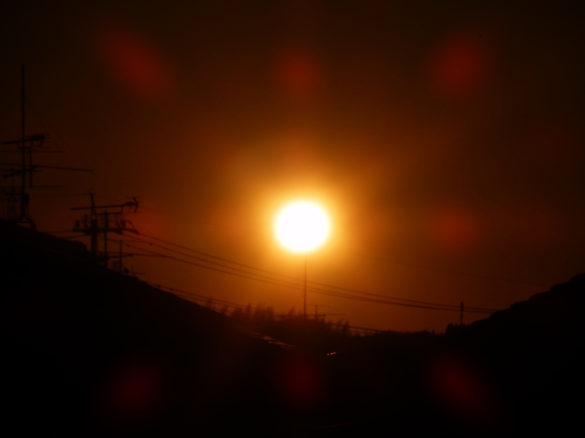 f:id:fwss:20220224203337j:plain