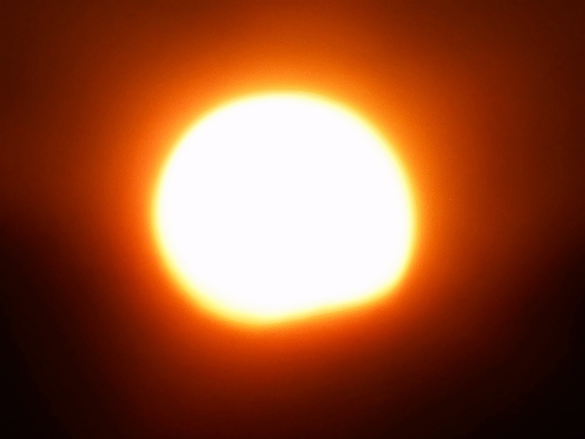 f:id:fwss:20220224203636j:plain