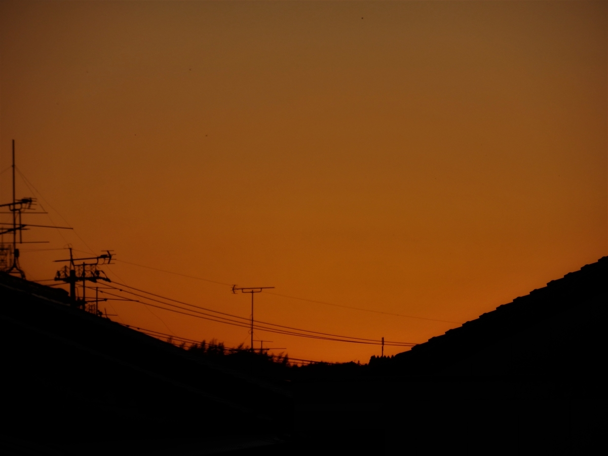 f:id:fwss:20220224203754j:plain