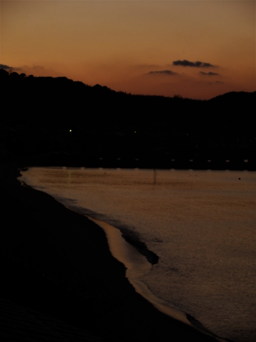 f:id:fwss:20220224204116j:plain