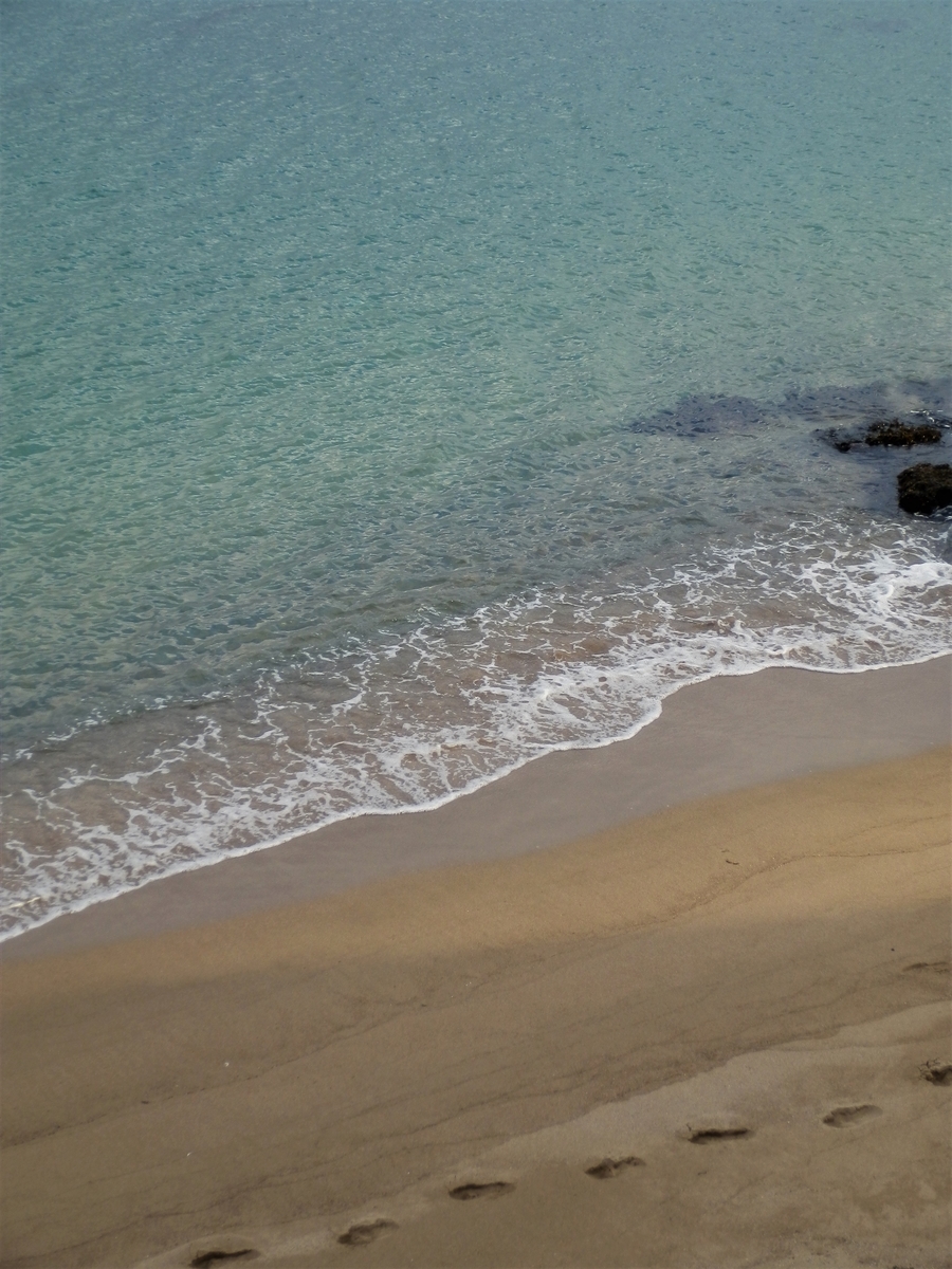 f:id:fwss:20220226102930j:plain