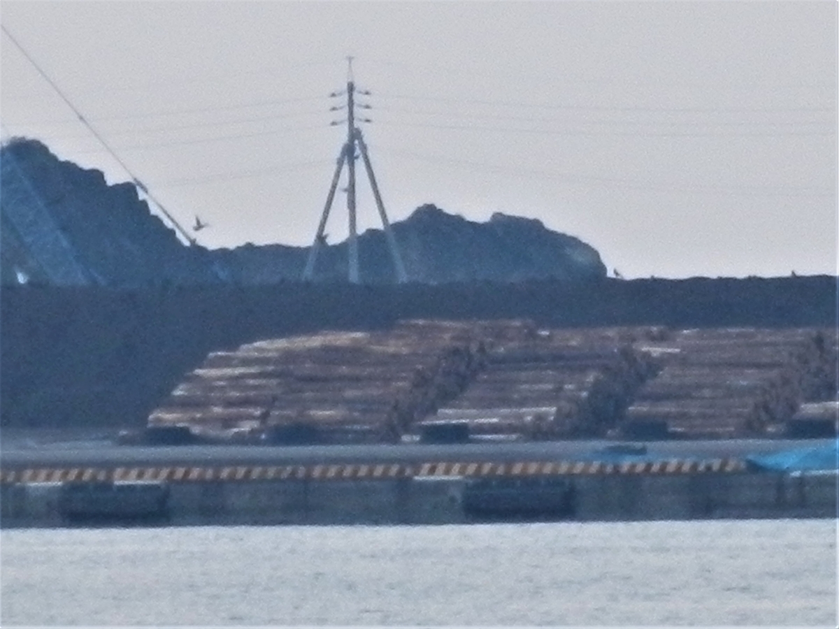 f:id:fwss:20220226105554j:plain