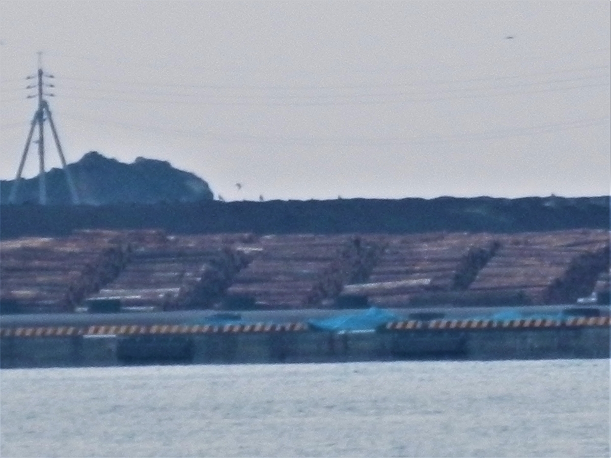 f:id:fwss:20220226105722j:plain