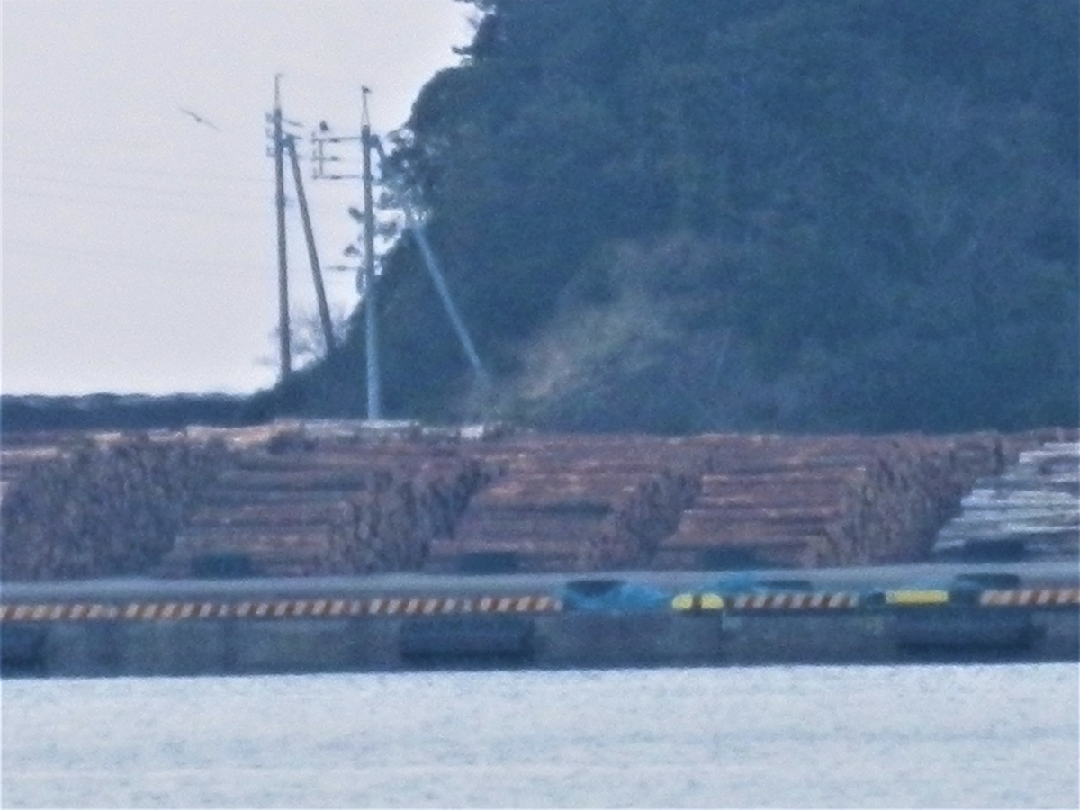 f:id:fwss:20220226105828j:plain