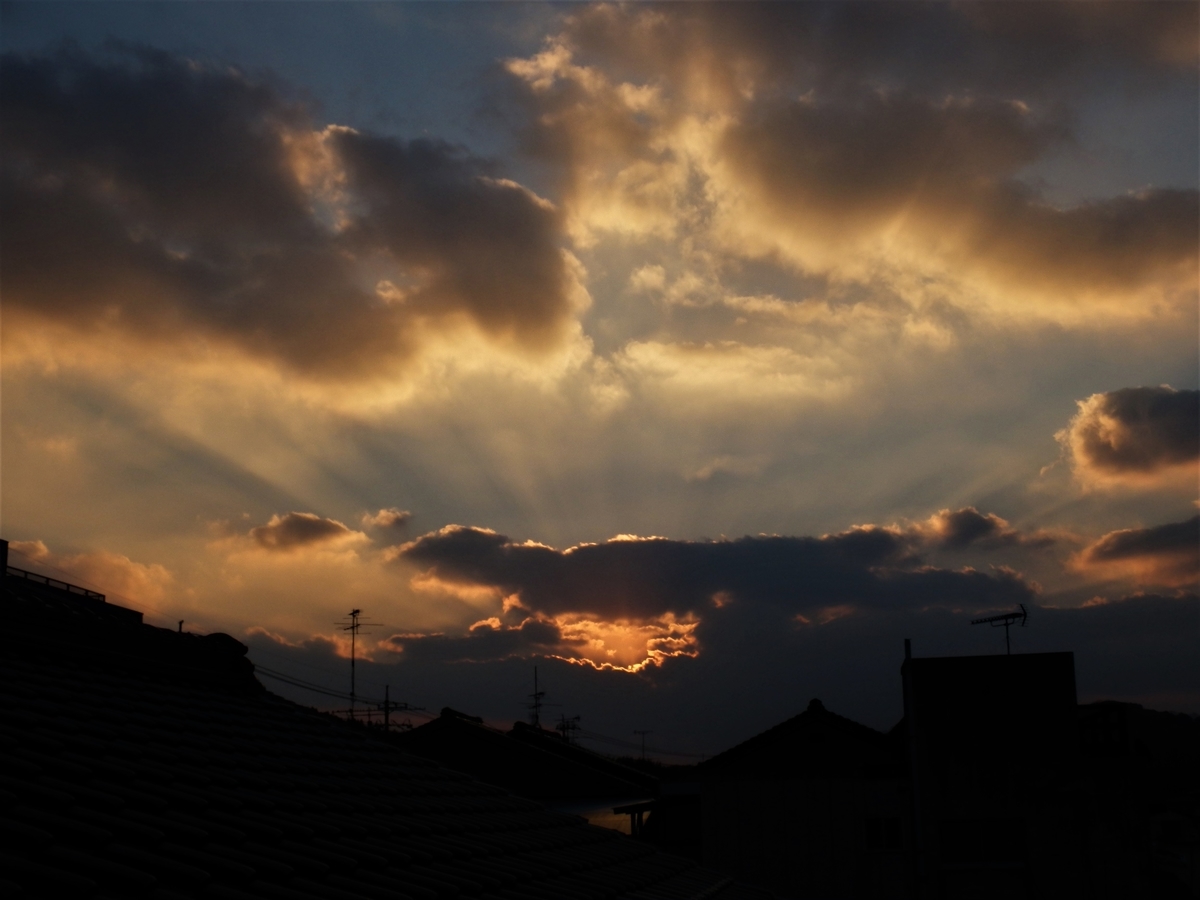 f:id:fwss:20220226110622j:plain