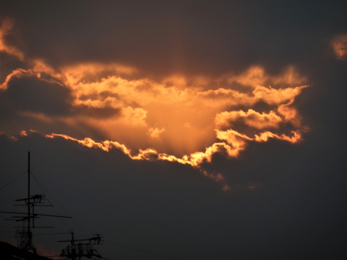 f:id:fwss:20220226110809j:plain