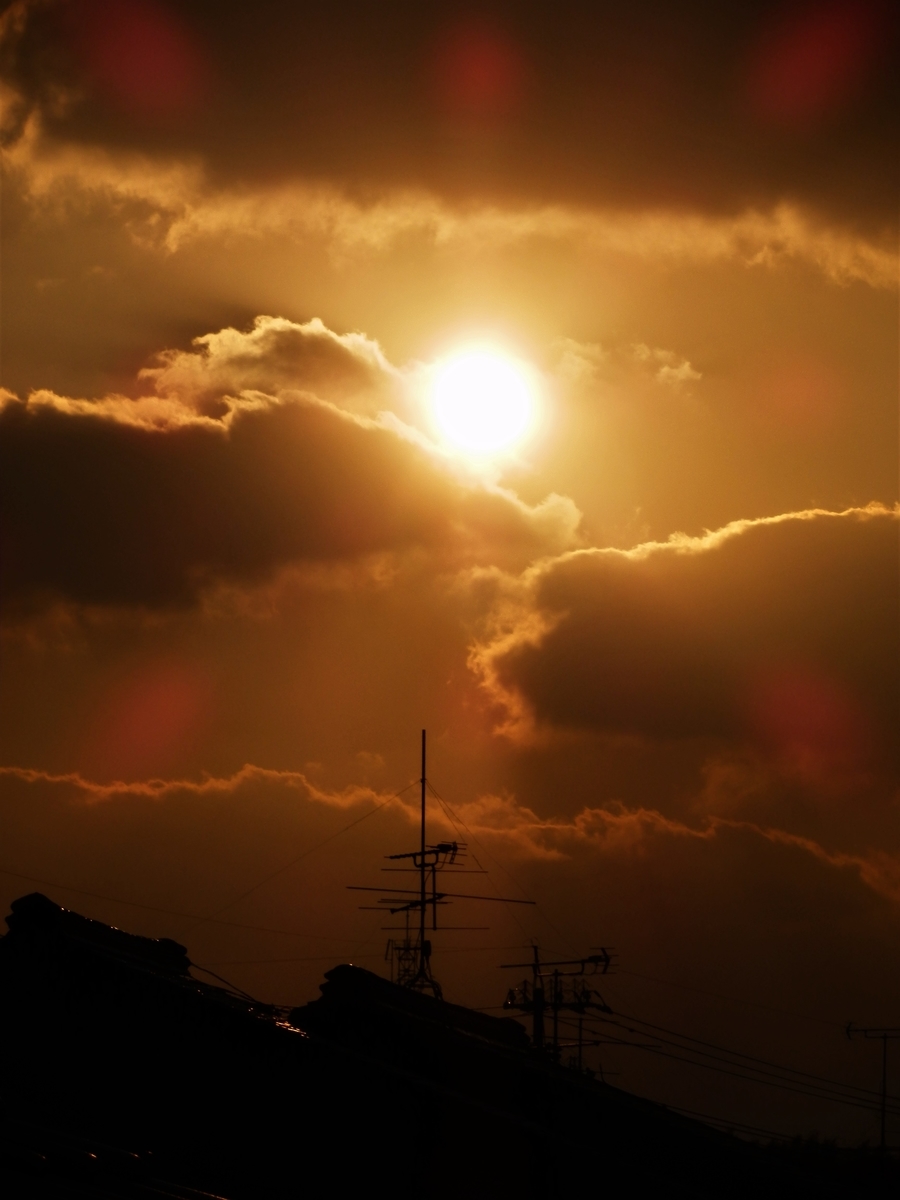 f:id:fwss:20220226111022j:plain