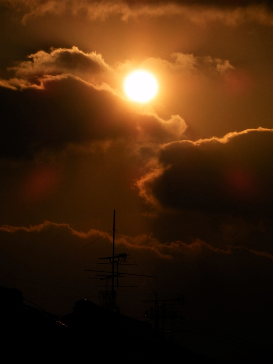 f:id:fwss:20220226111248j:plain