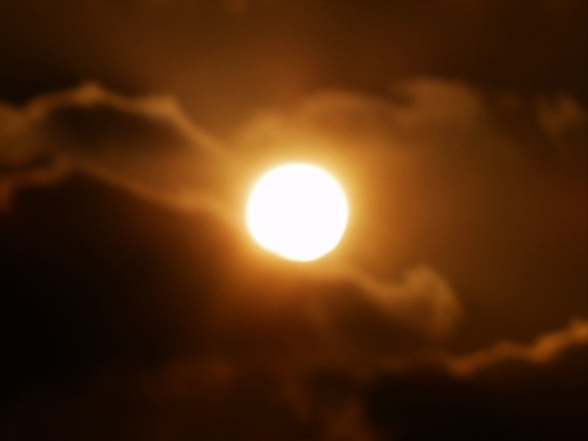 f:id:fwss:20220226111557j:plain