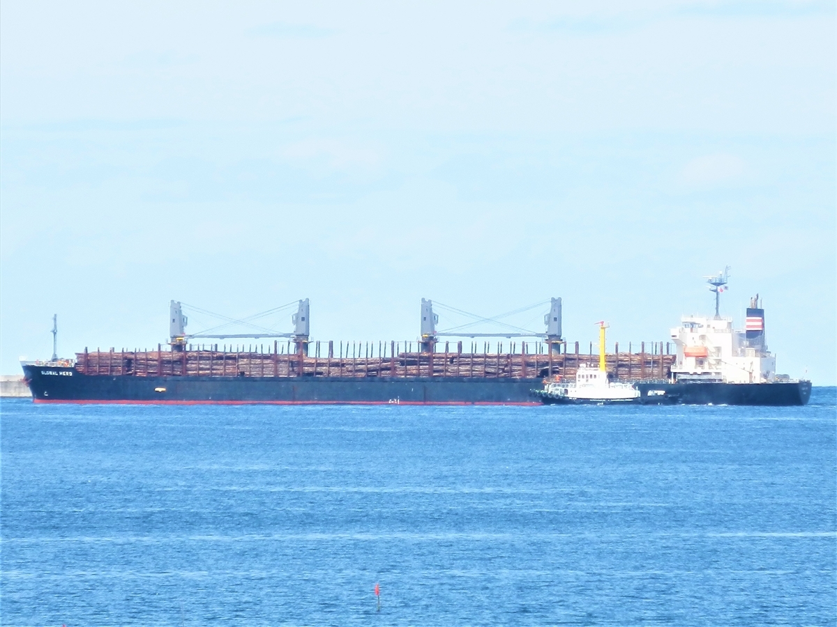 f:id:fwss:20220320151540j:plain