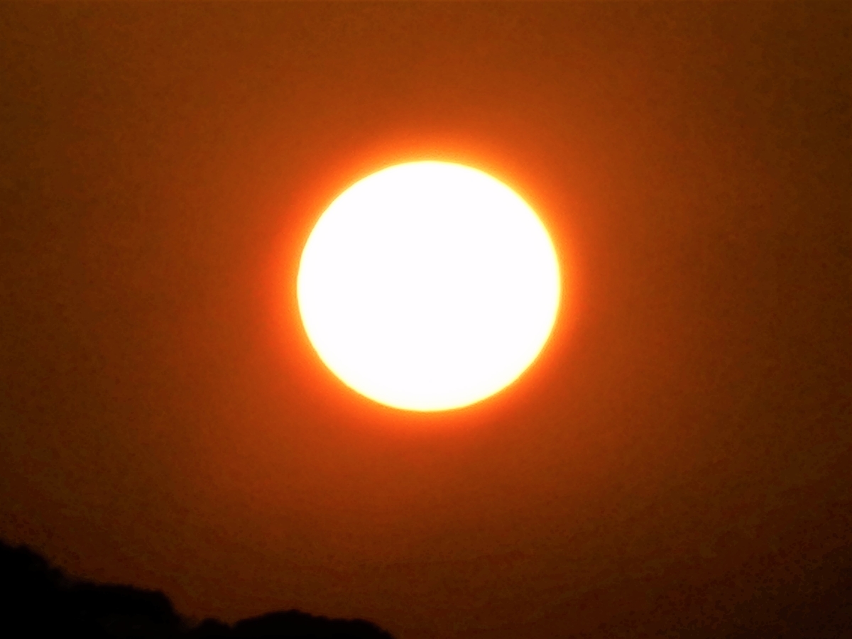 f:id:fwss:20220410072737j:plain