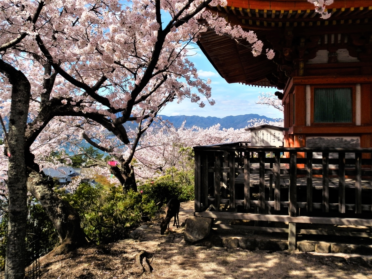 f:id:fwss:20220410101412j:plain