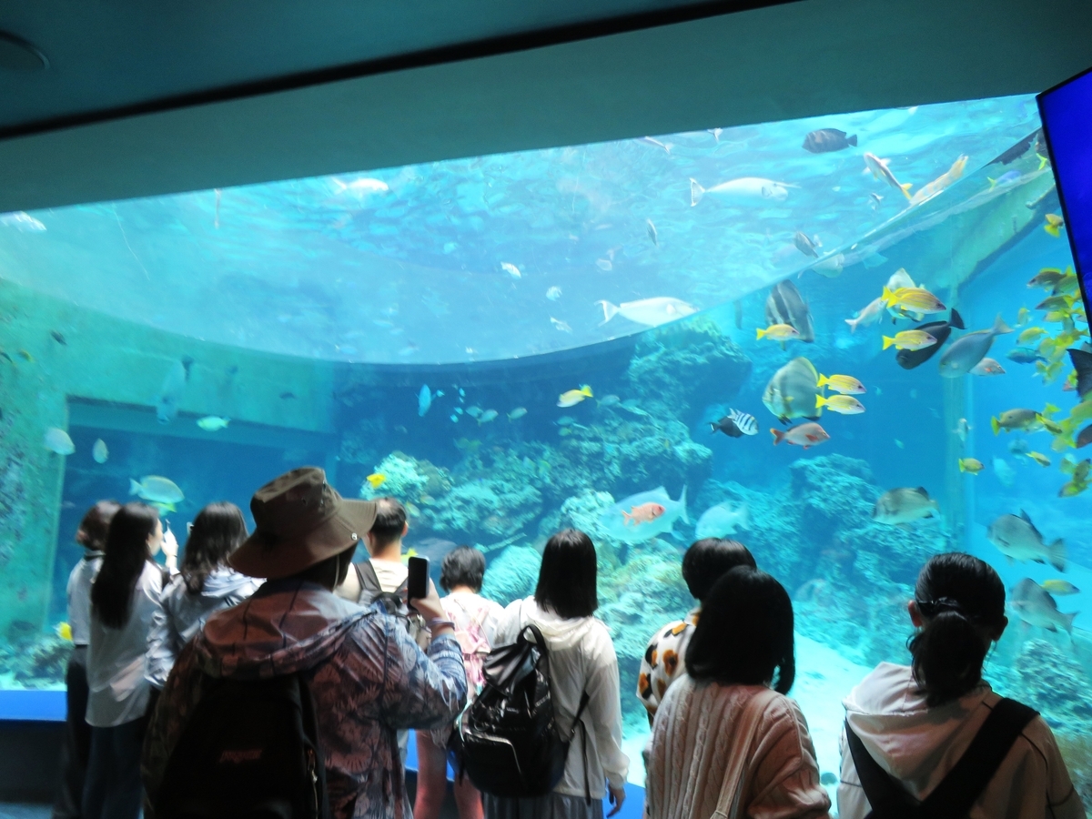ゴールデンウィークを避けて行った「なつかしの沖縄ツアー」【32