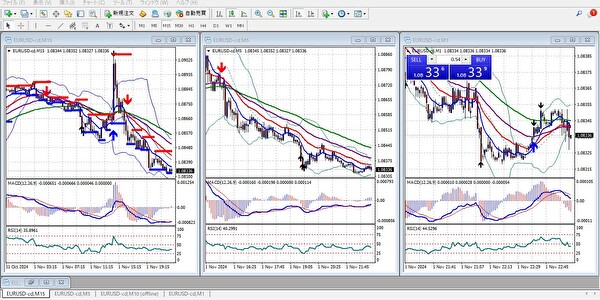 主要なテクニカル指標（移動平均線、RSI、MACD）が表示された画面