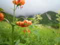 20170715170757