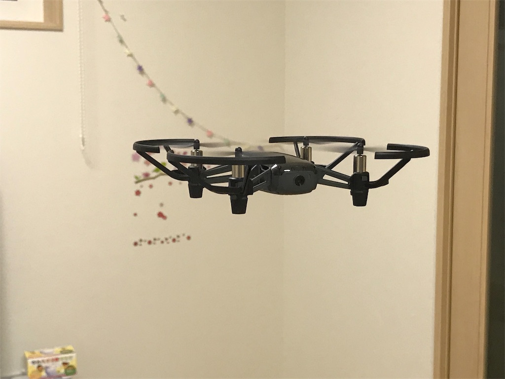 f:id:fxxk_authority:20190315152909j:image