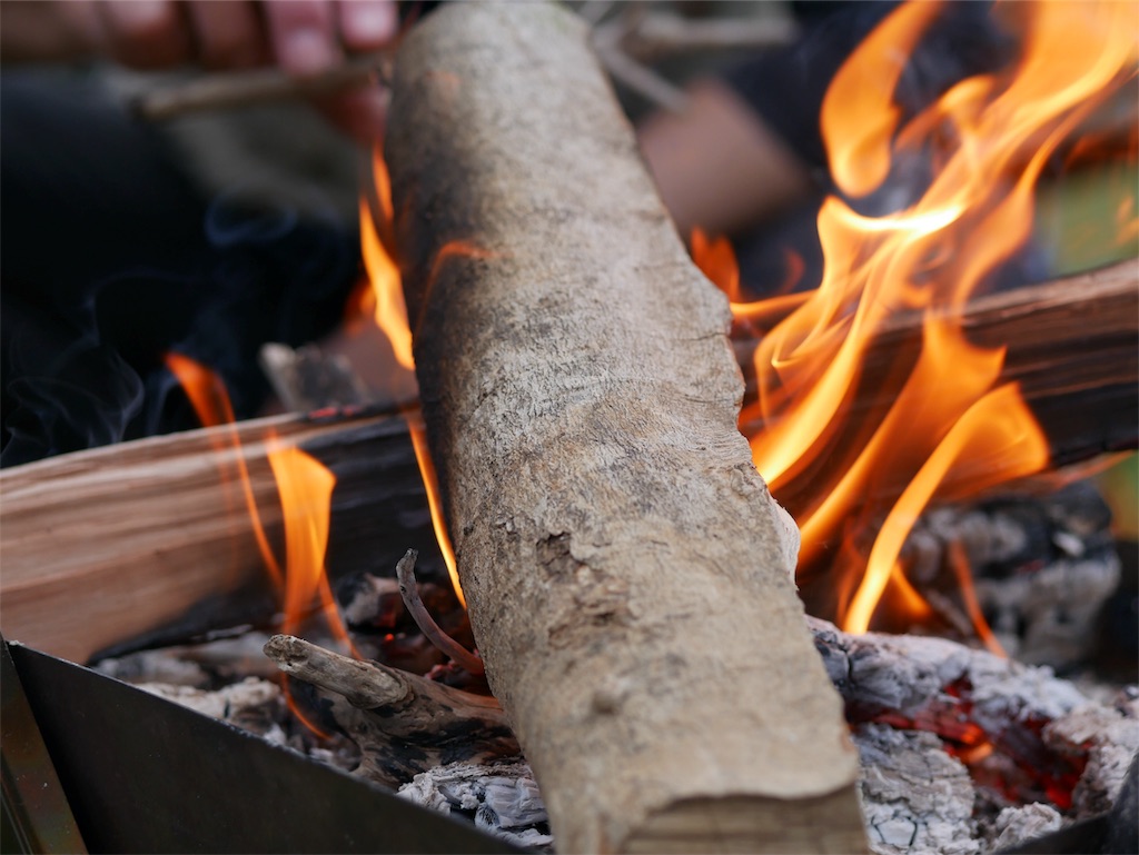 f:id:fxxk_authority:20190508164423j:image