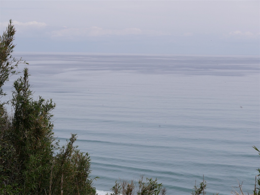 f:id:fxxk_authority:20190508164539j:image